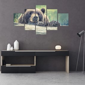 Obraz niedźwiedzia (125x70 cm)