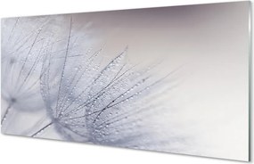 Panel nad Blat Kuchenny Dmuchawce w Porannej Rosie