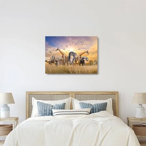 Obraz na szkle - Afrykańskie zwierzęta (70x50 cm)