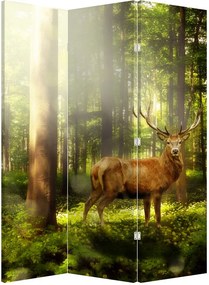 Parawan - Jeleń w lesie (126x170 cm)