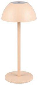 Lampa zewnętrzna ze ściemniaczem ø 13,5 cm Ricardo – Trio