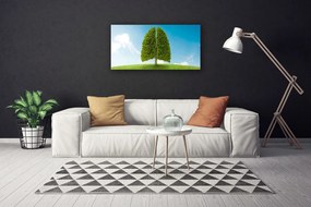 Obraz Canvas Trawa Drzewo Płuca Przyroda