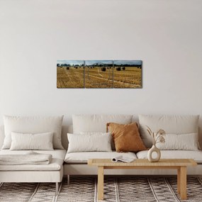 Obraz zebranego pola zboża (z zegarem) (90x30 cm)