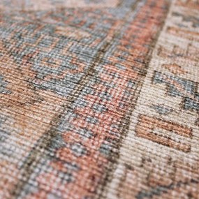 Dywan odpowiedni do prania 152x230 cm Dion Global – Flair Rugs
