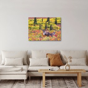 Obraz - Renifer tundrowy (70x50 cm)