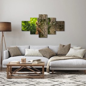 Obraz - wiewiórka (125x70 cm)