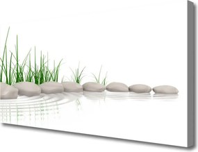 Fotoobraz na płótnie Kamienie w Zielonej Trawie