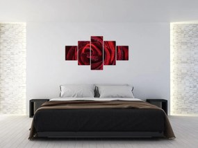 Obraz - Czerwona róża z kroplami rosy (125x70 cm)