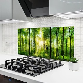 Panel Kuchenny Ścieżka Wśród Drzew