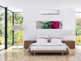 Obraz - Różowa róża z zieloną łodygą (170x50 cm)