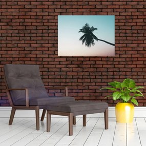 Obraz na szkle - Palma na Bali (70x50 cm)
