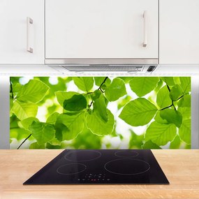 Panel Kuchenny Detal Egzotycznego Liścia