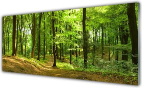 Szkło do Kuchni na Ścianę Ścieżka Przez Dziki Las