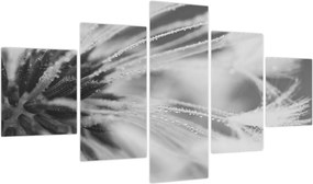 Obraz - Mlecz (125x70 cm)