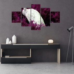 Obraz - Biały paw (125x70 cm)