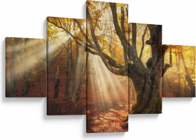 Obraz - Jesienny świt (125x70 cm)