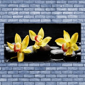 Obraz Canvas Kwiat Orchidea Roślina