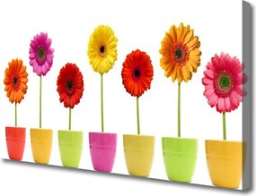 Obraz canvas Bukiet Polnych Kwiatów