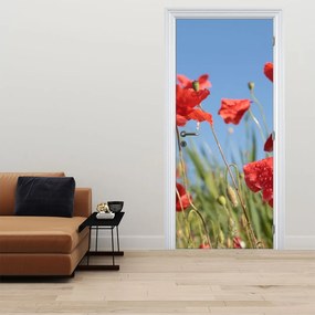 Fototapeta na drzwi - Maki (95x205cm)