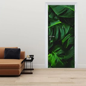 Fototapeta na drzwi - Liście monstery (95x205cm)