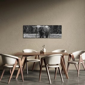 Obraz - Szkocka krowa (z zegarem) (90x30 cm)