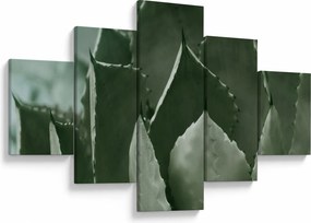 Obraz - Zielona agawa (125x70 cm)