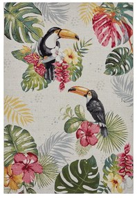 Dywan odpowiedni na zewnątrz 240x340 cm Flair – Hanse Home