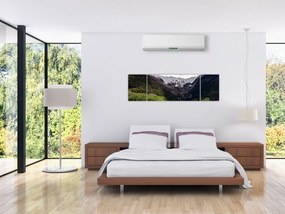 Obraz - Dolina pod górami (170x50 cm)