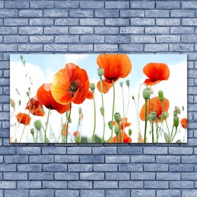 Obraz Canvas Kwiaty Maki Łąka Pole Natura