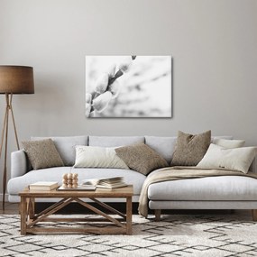 Obraz - Początek wiosny (70x50 cm)