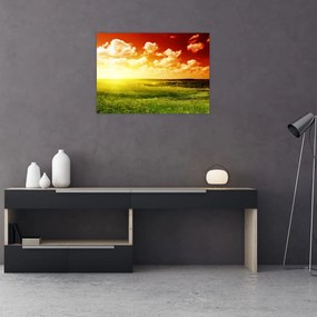 Obraz letniej łąki (70x50 cm)