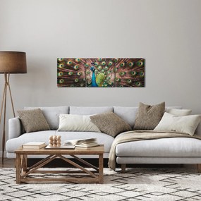 Obraz - Paw (z zegarem) (90x30 cm)