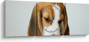 Obraz Beagle (z zegarem) (90x30 cm)