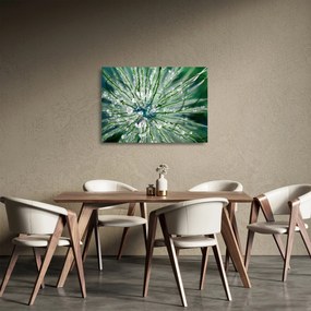 Obraz na szkle - Makro zdjęcie kwiatu (70x50 cm)