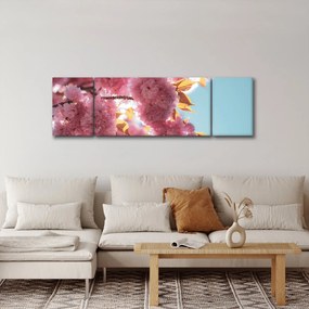 Obraz - Kwiat wiśni (170x50 cm)