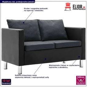 Atrakcyjna 2-osobowa sofa Karlo 2Q - czarno-ciemnoszara