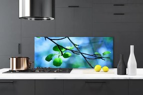 Panel Szklany Świeże Liście na Gałązce