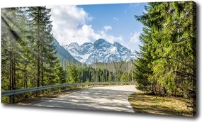 Foto obraz canvas Droga Tatry