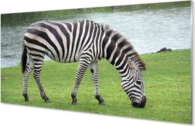 Szkło do Kuchni na Ścianę Portret Zebry w Paski