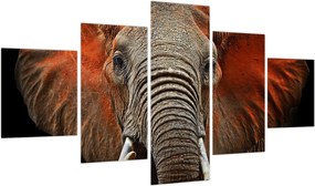 Obraz - Słonie z Tsavo (125x70 cm)