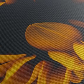 Obraz - Słoneczniki na czarnym tle (170x50 cm)