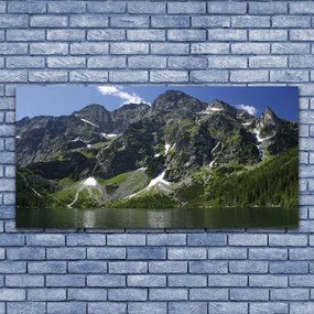 Zdjęcie na płótnie Panorama Alpejskiej Natury