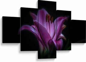 Obraz lilii (125x70 cm)