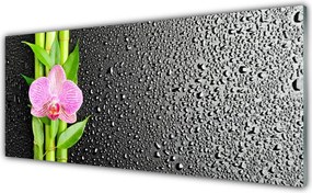 Panel Kuchenny Pędy Bambusa W Rozkwicie