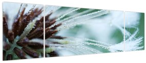 Obraz - Detal kwiatu (170x50 cm)