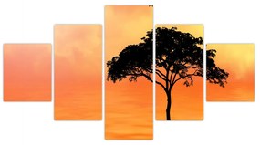 Obraz drzewa o zachodzie słońca (125x70 cm)