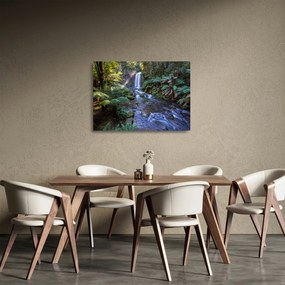Obraz na szkle australijskiego lasu deszczowego (70x50 cm)