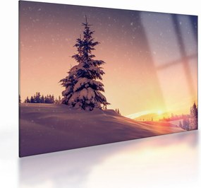 Obraz na szkle - ośnieżone drzewo na łące (70x50 cm)