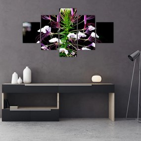 Obraz kwiatu (125x70 cm)