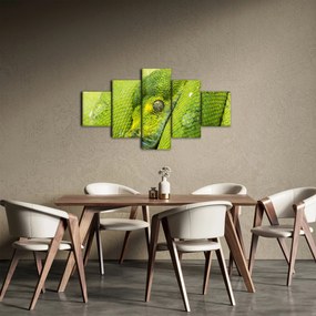 Obraz węża (125x70 cm)